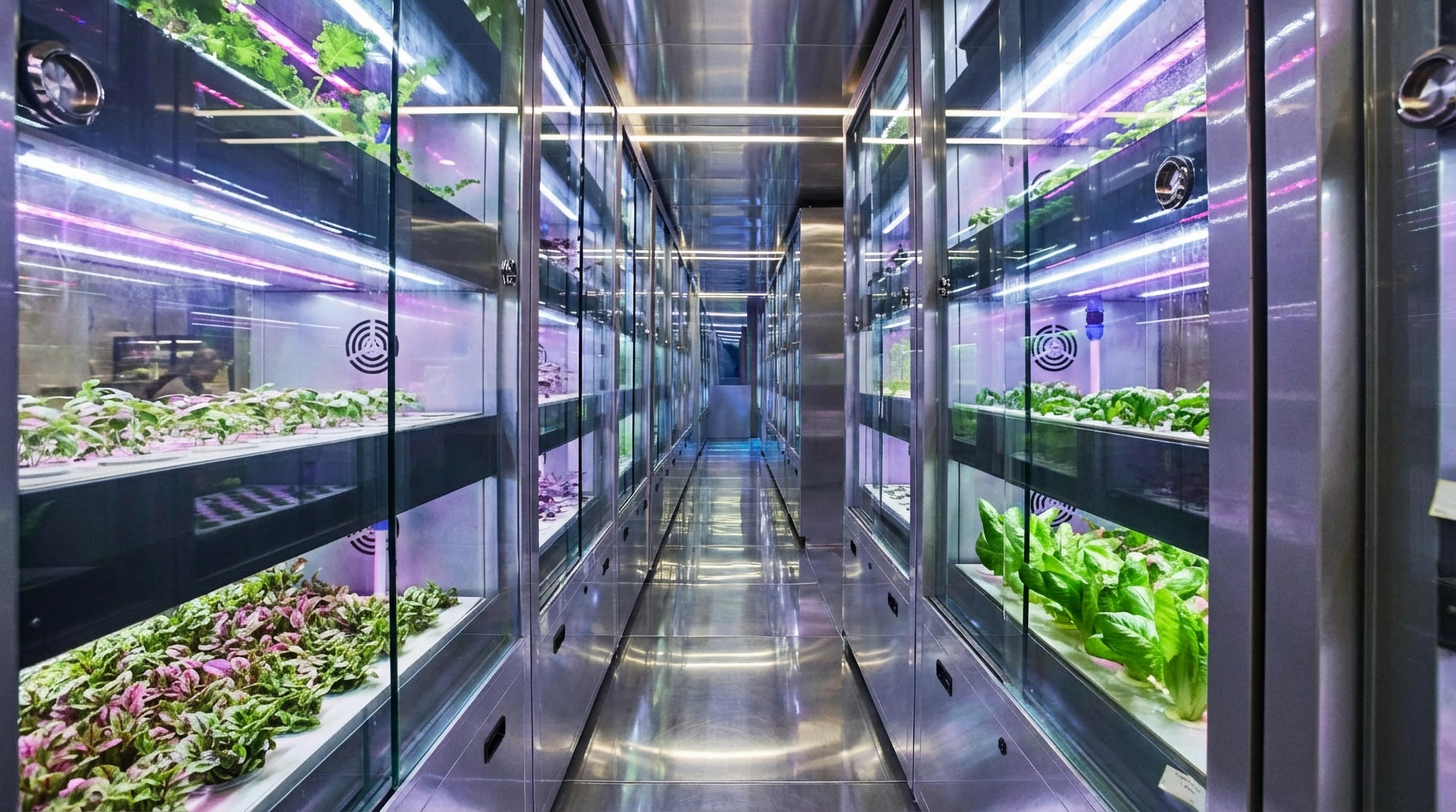 Seed By Farmacy | 品牌設計 及 包裝設計